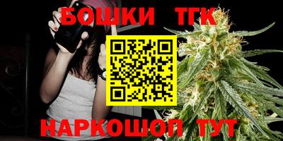 индика Пыть-Ях