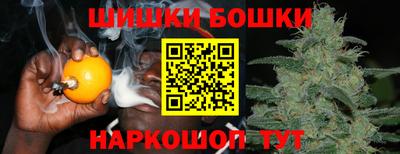 индика Пыть-Ях