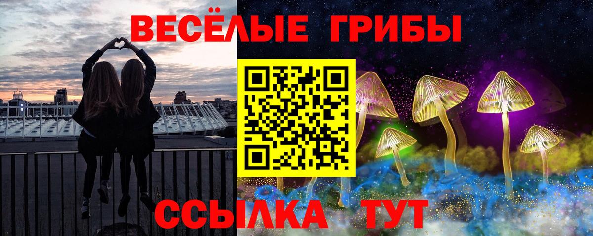Псилоцибиновые грибы прущие грибы Новоалтайск