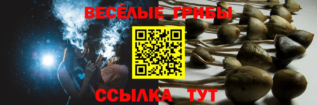 Псилоцибиновые грибы мухоморы  Галлюциногенные грибы мицелий  Новоалтайск  Вход с VPN 